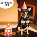 Coleira de Corrente Luxuosa para Cães e Gatos – Colar Dourado de Metal Premium para Pets Pequenos, Médios e Grandes