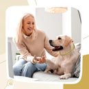 Coleira de Corrente Luxuosa para Cães e Gatos – Colar Dourado de Metal Premium para Pets Pequenos, Médios e Grandes