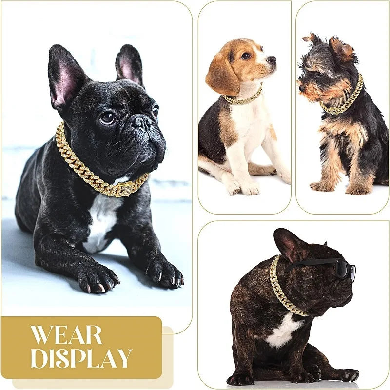Coleira de Corrente Luxuosa para Cães e Gatos – Colar Dourado de Metal Premium para Pets Pequenos, Médios e Grandes