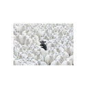 Quadro Decorativo Canvas – Ovelha Negra / Pomba / Carro no Rebanho – Arte Minimalista Moderna para Parede