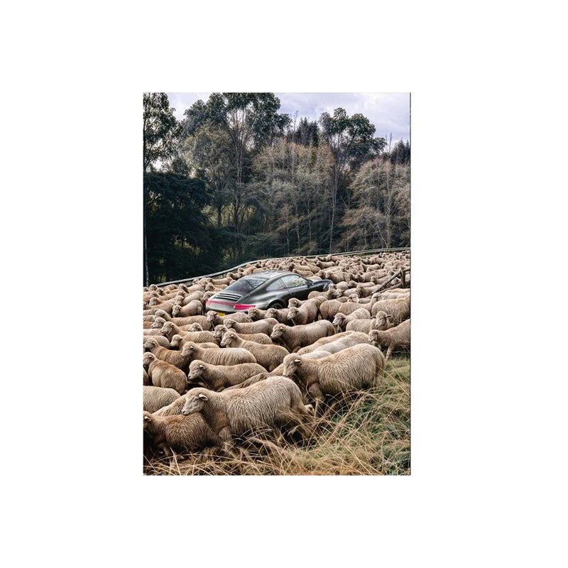Quadro Decorativo Canvas – Ovelha Negra / Pomba / Carro no Rebanho – Arte Minimalista Moderna para Parede