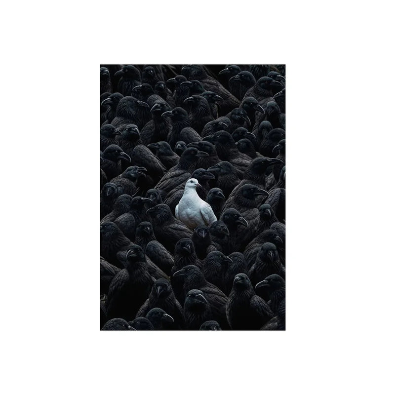 Quadro Decorativo Canvas – Ovelha Negra / Pomba / Carro no Rebanho – Arte Minimalista Moderna para Parede