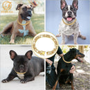 Coleira de Corrente Luxuosa para Cães e Gatos – Colar Dourado de Metal Premium para Pets Pequenos, Médios e Grandes